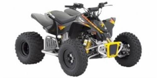[2008] Can-Am DS 90 X