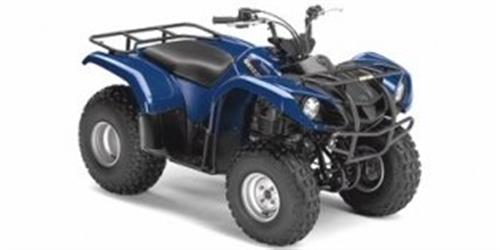 [2008] Yamaha Grizzly 125 Automatic