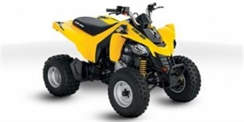 [2010] Can-Am DS 250