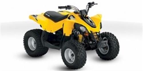 [2010] Can-Am DS 90