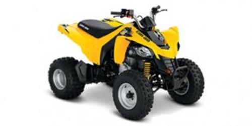 [2019] Can-Am DS 250