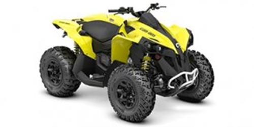 [2019] Can-Am Renegade 1000R
