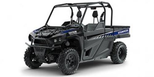 [2019] Textron Off Road Stampede