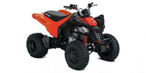 [2020] Can-Am DS 250